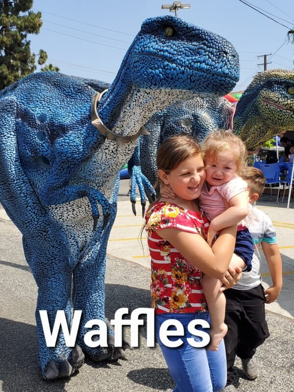 Waffles Velociraptor Walking Dinosaur - Image 2