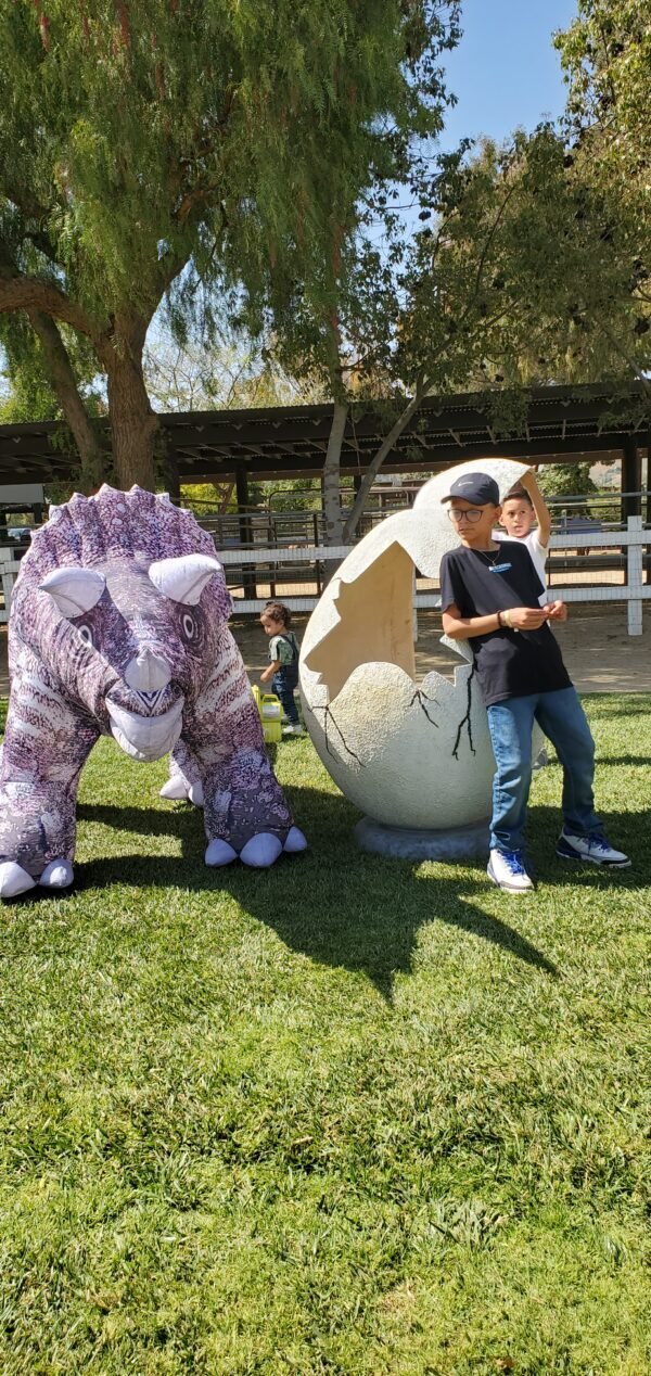 Picture Egg Prop - Image 6