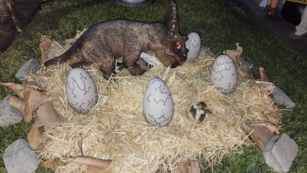Sara Triceratops Baby Dinosaur - Image 4