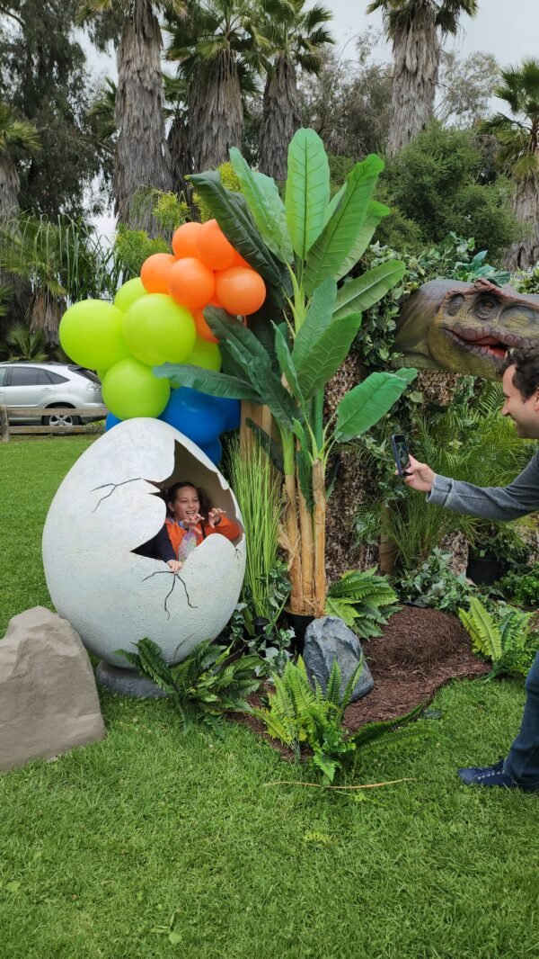 Picture Egg Prop - Image 4