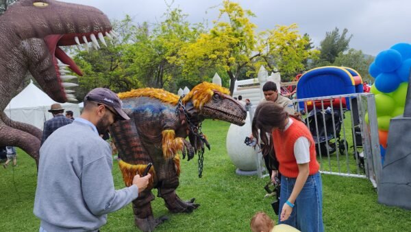 Feathers Walking Dinosaur - Image 3