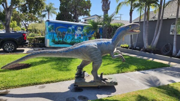 Blue Velociraptor Stand Still - Image 3