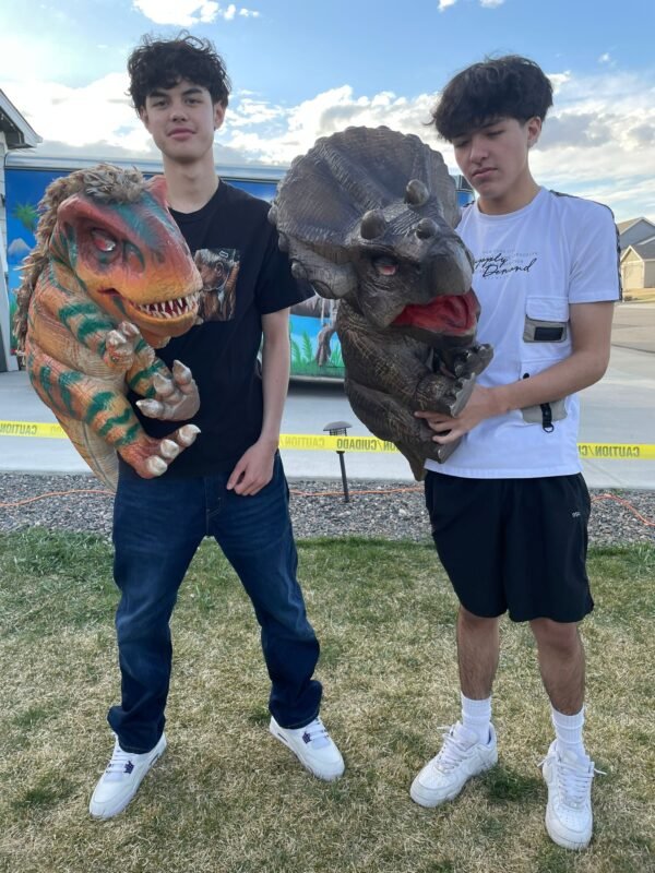 Sara Triceratops Baby Dinosaur - Image 2