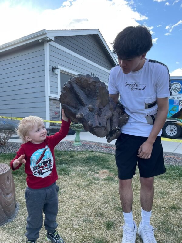Sara Triceratops Baby Dinosaur - Image 3