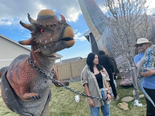 Ducky the Stygimoloch Walking Dinosaur - Image 2