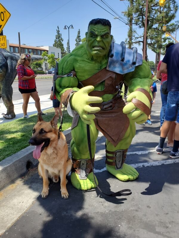 Hulk - Image 2