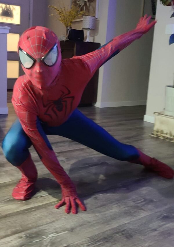 Spiderman - Image 2
